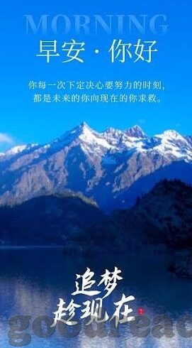 成人视频-成人视频，网络时代的文化现象与伦理考量